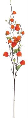 CHINESE LANTERN SPRAY, 34"; 1.5" POD, FLAME/ORANGE 34 IN.