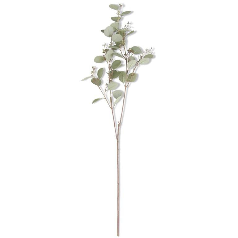 33 Inch Green Budding Eucalyptus Stem