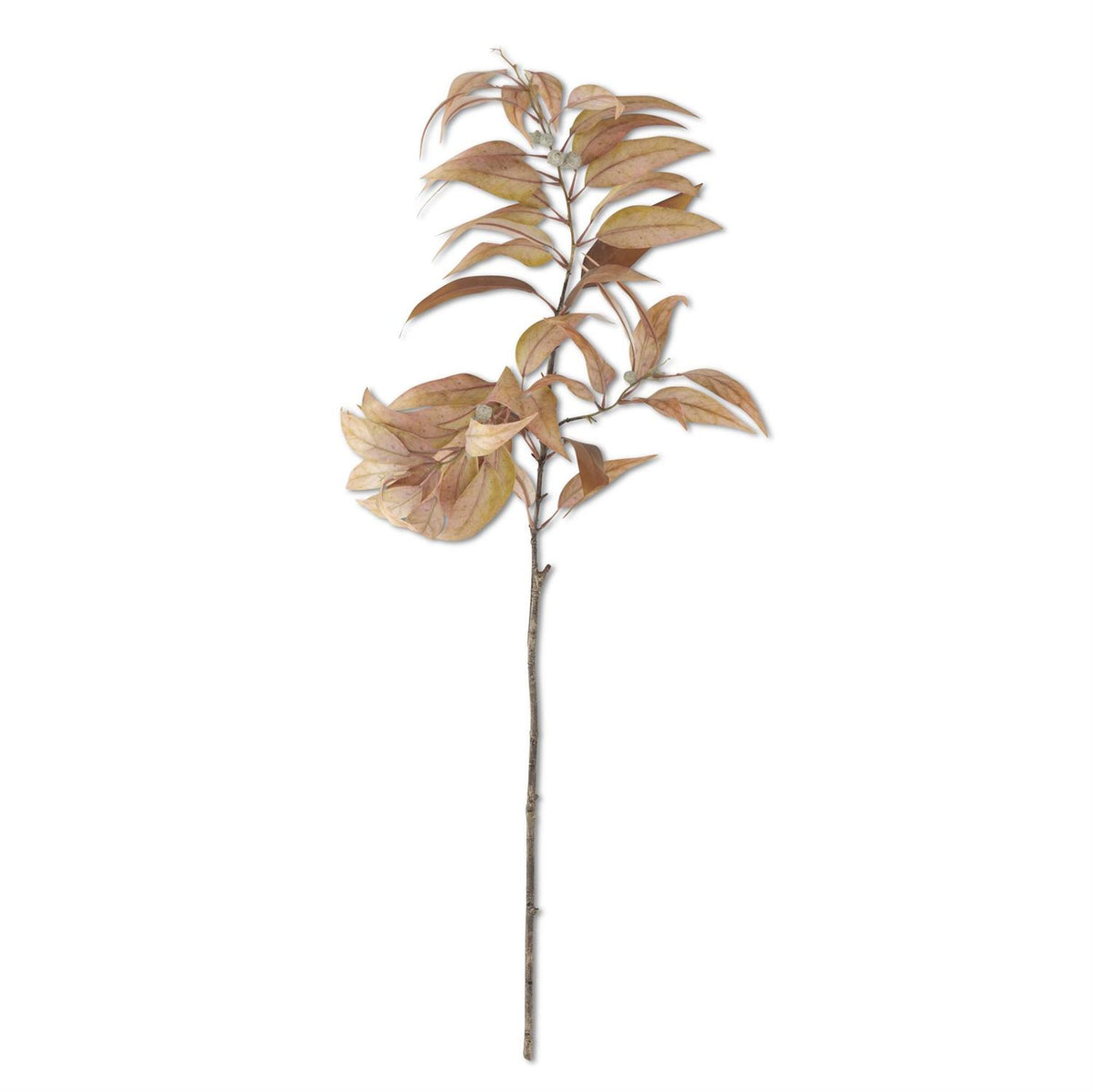 48 Inch Light Yellow Eucalyptus Branch w/Pods