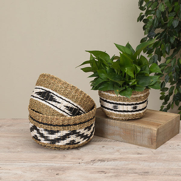 Hand Woven Basket