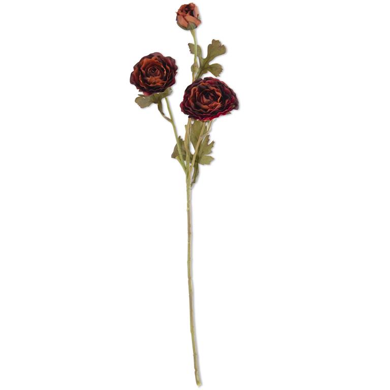20.5 Inch Burgundy Ranunculus Spray