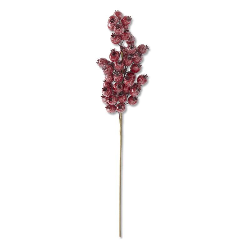 24 Inch Glittered Red Rosehip Stem