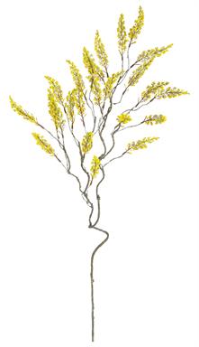 ASTILBE SPRAY, 36", YELLOW