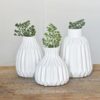 MATTE WHITE CERAMIC VASE