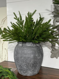 NORFOLK PINE BUSH, 20", GREEN