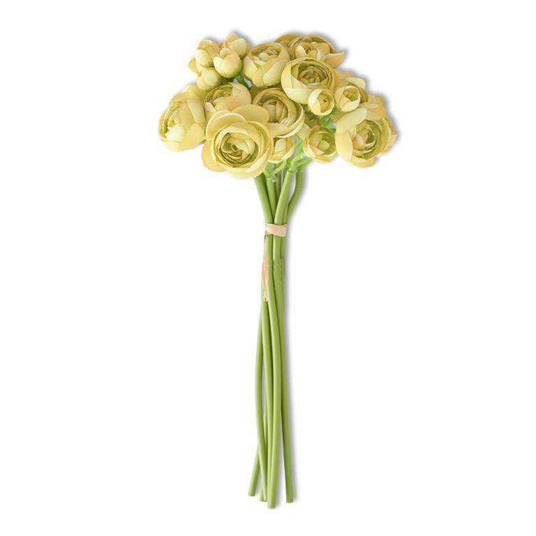 11 Inch Yellow Mini Ranunculus Bundle (7 Stems)