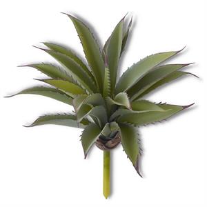 10.25 Inch Light Green Aloe Succulent Pick