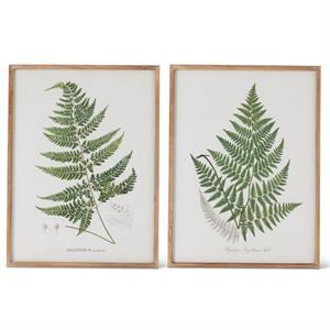 31.5 Inch Green Fern Leaf Print w/Wood Frame