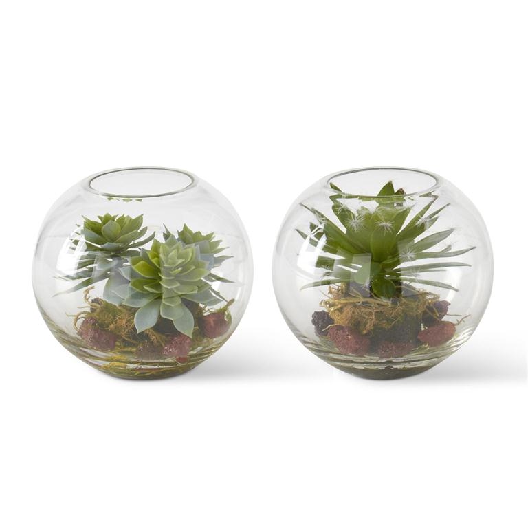 5 Inch Round Glass Succulent Premade Terra