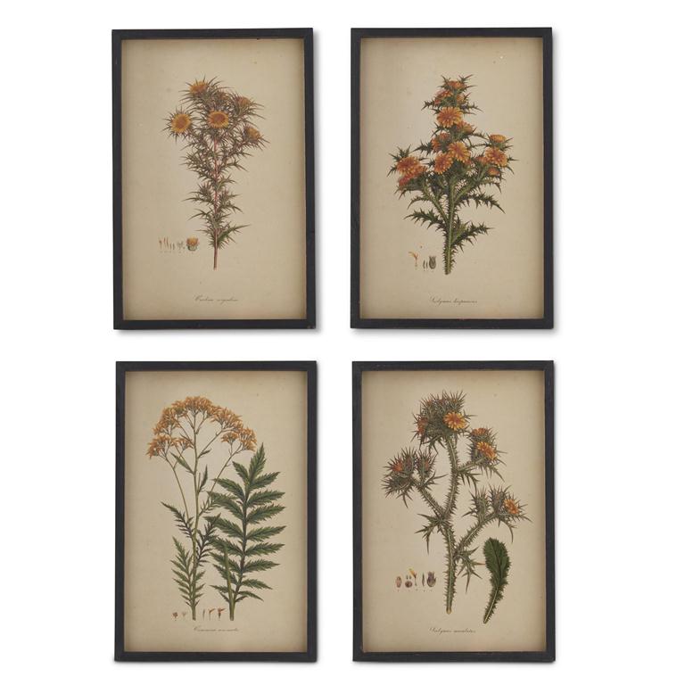 Assorted 17.75 Inch Yellow Daisy Prints w/Black Wood Frames